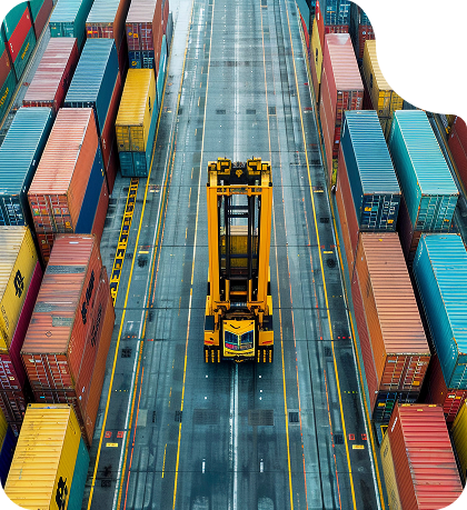 واردات کالا